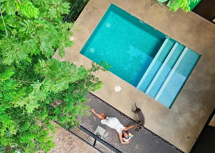 Villa Jungle Container Private Pool 8 Min Avellanas *